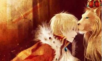 狮子座图片大全【专辑16】