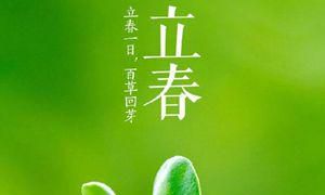 時刻了解丨牛年究竟从哪一天逐渐算？原先叫法这么多