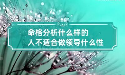 命格分析什么样的人不适合做领导 什么性格的人不适合当领导