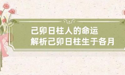 己卯日柱人的命运解析 己卯日柱生于各月的命理分析