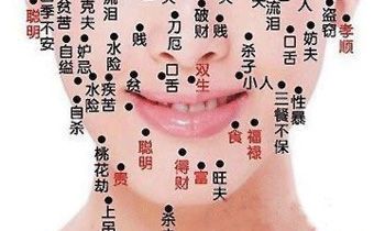 身体各部位痣相图解