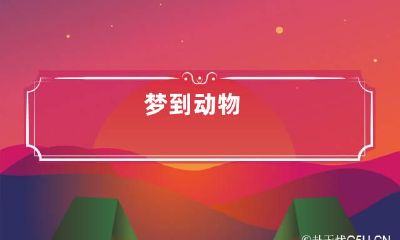 梦到动物