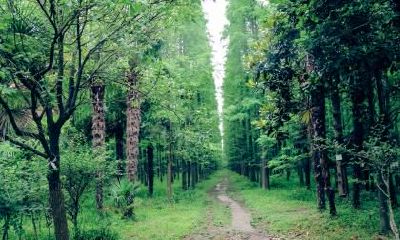 2020年正月初十出生的男鼠宝宝五行缺金起名