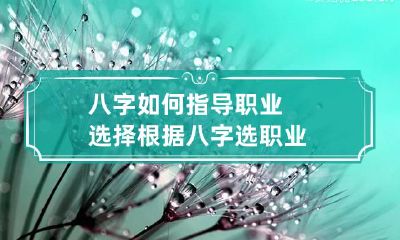八字如何指导职业选择 根据八字选职业