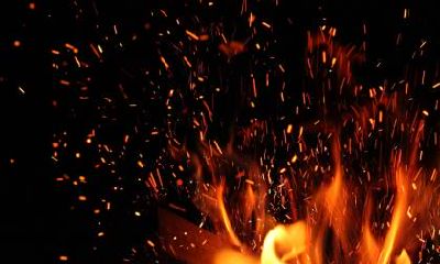 2019年6月16日父亲节出生男宝宝五行缺木起名大全