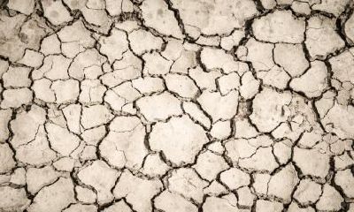 2020年正月十四出生的男孩五行缺金好听又帅气的名字推荐