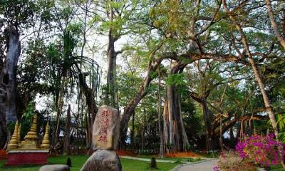 2019年农历七月五行属什么？如何起名好？