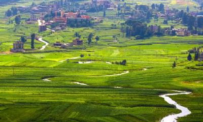 2019年夏至出生五行缺火的女孩怎么取名？女孩缺火命好不好？