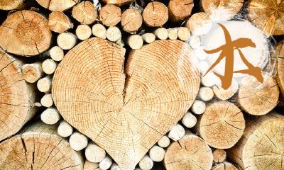 2020年正月二十五出生的鼠宝宝名字，五行缺什么？