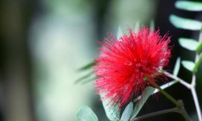 婚后“很宠妻”的3生肖男，关切无所不至，是女人的抱负型