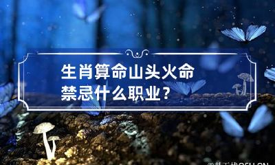 生肖算命 山头火命禁忌什么职业？