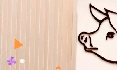 母凭子贵！生小孩后【运势大爆发】的生肖女