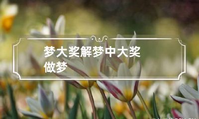 梦大奖解梦 中大奖做梦