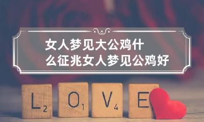 女人梦见大公鸡什么征兆 女人梦见公鸡好不好解梦