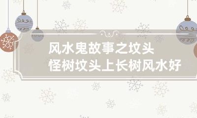 风水鬼故事之坟头怪树 坟头上长树风水好坏