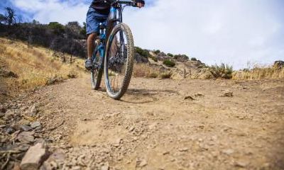 2019年夏天出生的孩子起名方法,属猪宝宝起名有何宜忌？