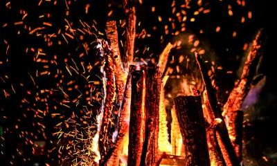 2019年7月出生的猪宝宝五行缺什么？2019年出生宝宝起名禁忌？