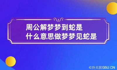 周公解梦梦到蛇是什么意思 做梦梦见蛇是什么意思?