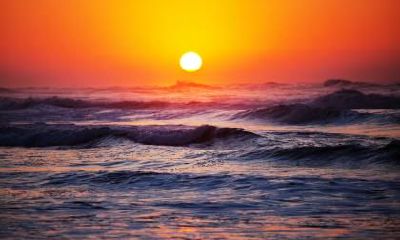 2021年正月初十日子五行属性是什么？