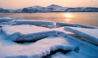 大寒有什么民俗活动？大寒三候分别是什么意思？