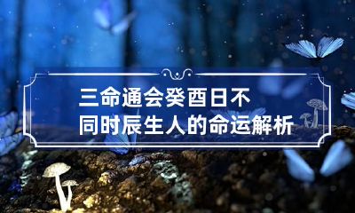 三命通会 癸酉日不同时辰生人的命运解析