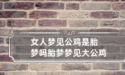 女人梦见公鸡是胎梦吗 胎梦梦见大公鸡