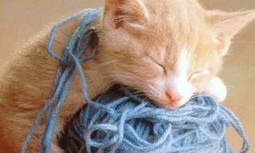 狮子座听过的最暖心的话