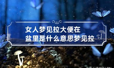 女人梦见拉大便在盆里是什么意思 梦见拉大便在盆子里