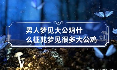 男人梦见大公鸡什么征兆 梦见很多大公鸡什么征兆