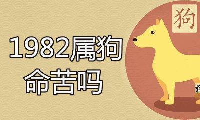 1982的命苦是真是假