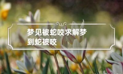 梦见被蛇咬求解 梦到蛇 被咬