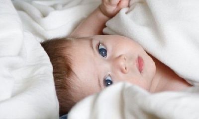 2022年肯定会添丁的属相