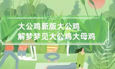 大公鸡新版大公鸡解梦 梦见大公鸡大母鸡
