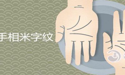 荣华富贵手相米字纹是啥观点