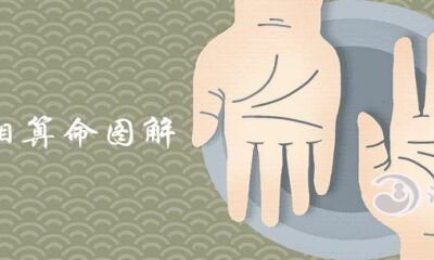 看手相算命详解详细介绍