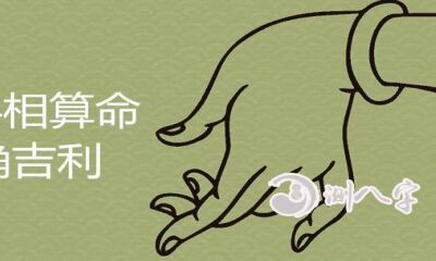 怎样看手相算命最精确有利