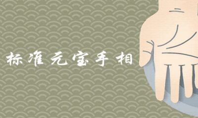 标准的元宝手相怎么判断