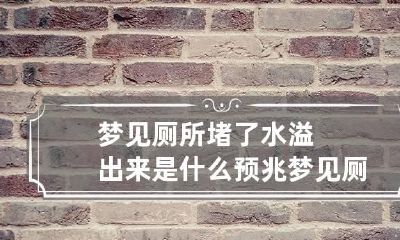 梦见厕所堵了水溢出来是什么预兆 梦见厕所堵了水溢出来好多水