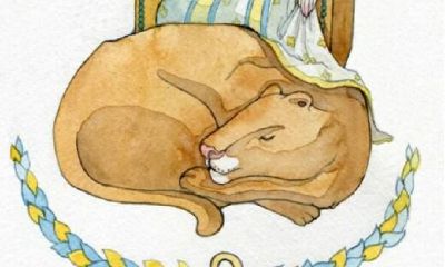 狮子座的童真指数