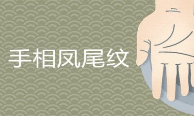手相凤尾纹几类喻意