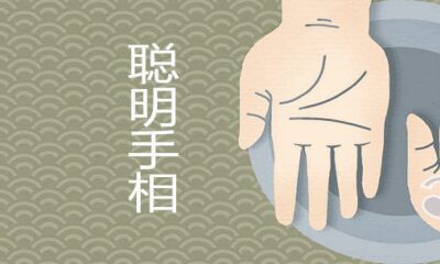 聪慧至极的手相有什么特点