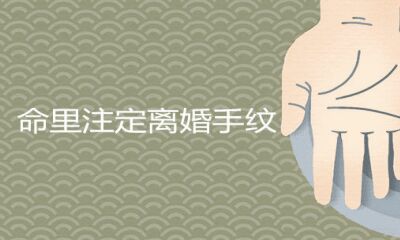 命中注定离异手纹图解分析