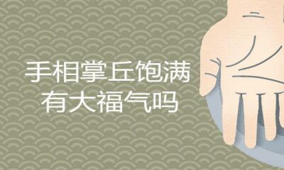 手相掌丘饱满有很大福分是真是假