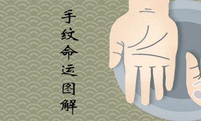手纹路乱就一定命不好吗