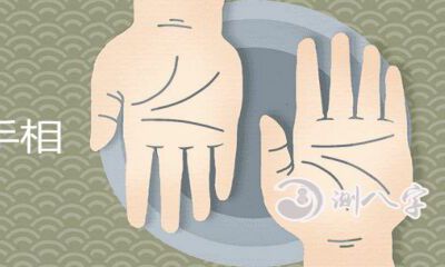 荣华富贵的手相男孩子版详解