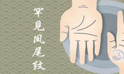 少见凤尾纹手纹女人会旺夫吗