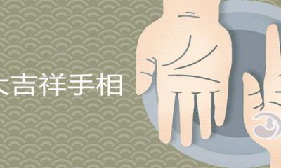 十大吉祥如意手相详解
