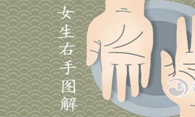 女生右手三条线详解运程分析