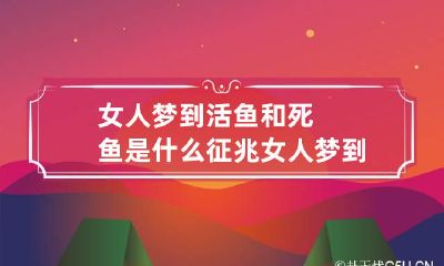 女人梦到活鱼和死鱼是什么征兆 女人梦到活鱼和死鱼周公解梦