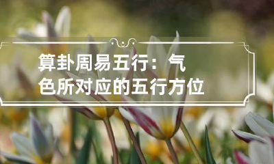 算卦 周易五行：气色所对应的五行方位